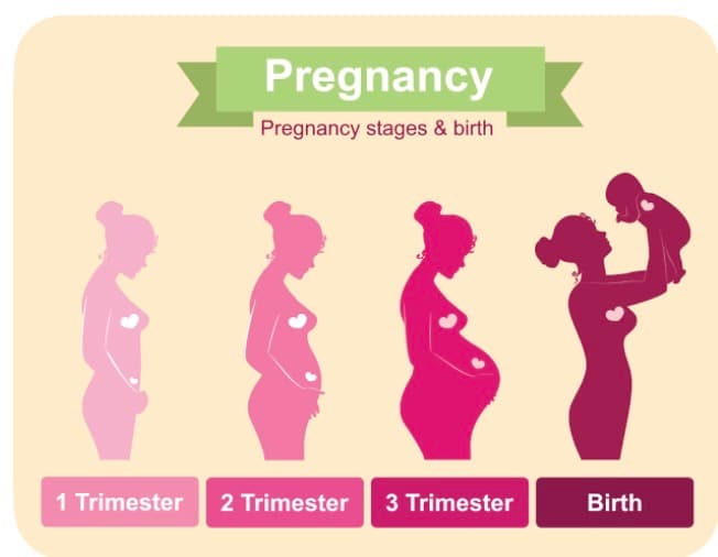 Physical and Emotional Changes in Pregnancy