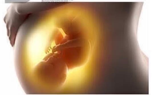 Fetal Well-Being Assessment